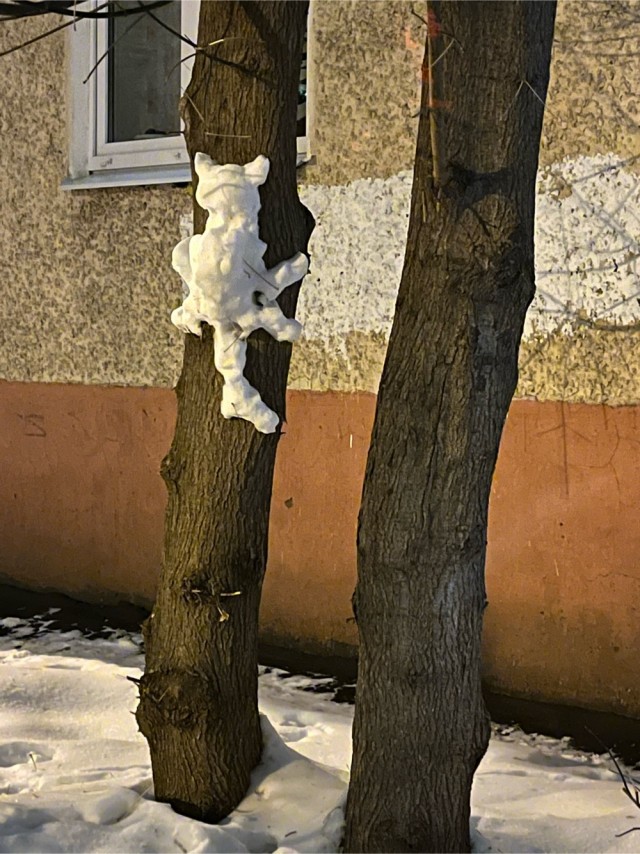 Котовторник 17.01.23