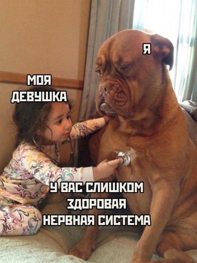 Картинки с надписями для поднятия настроения