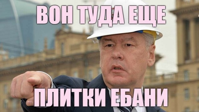 Кот познаёт основы гидродинамики