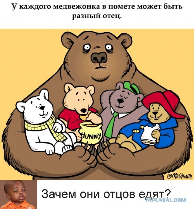 Занимательная зоология