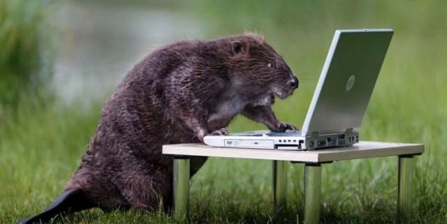 Атомную энергетику переводят на отечественные компьютеры "Бобёр"