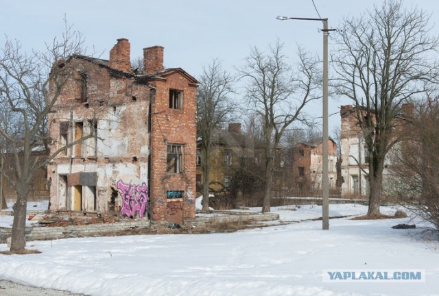 Все, что вы хотели знать об Эстонии...