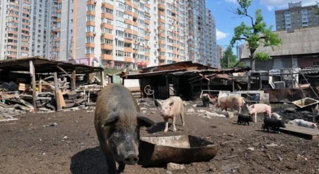 Симферополь, 9 лет с Россией