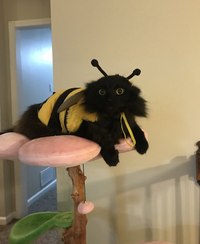 Ну хорошо, ладно... допустим - "бжжжжж!"