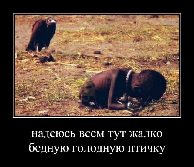 Приколы с налетом деградации