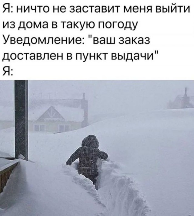 Ну и холод собачий! Господи, красота какая