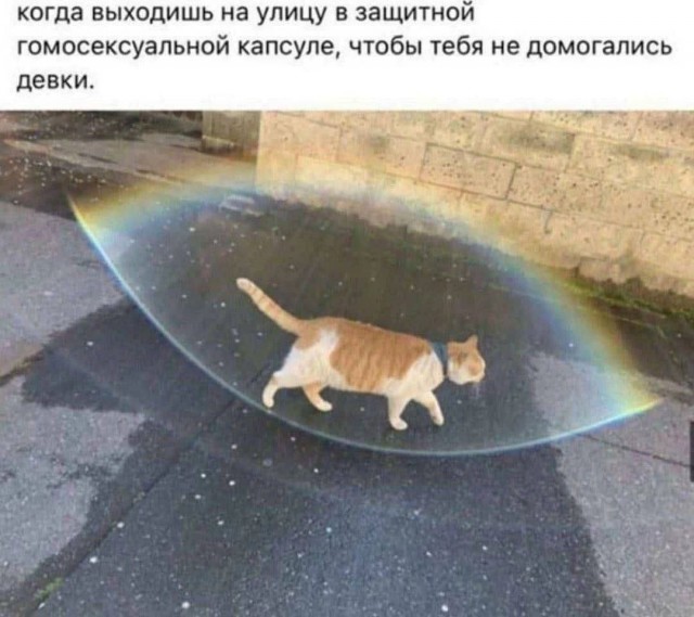 Народная меДИЧина 1033