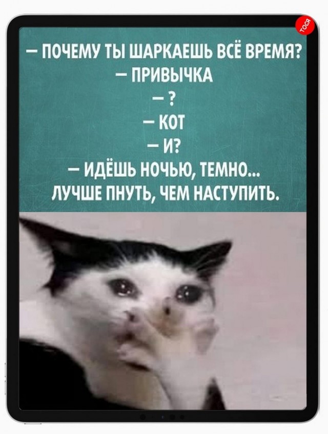 ТРРРидцать тРРРи от 21 мая