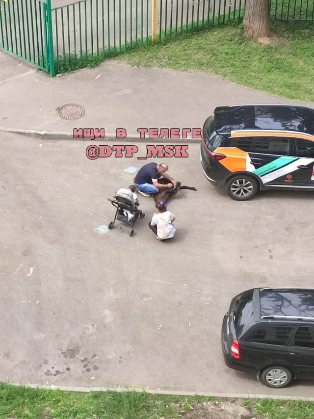Обстановка в московском Зюзино