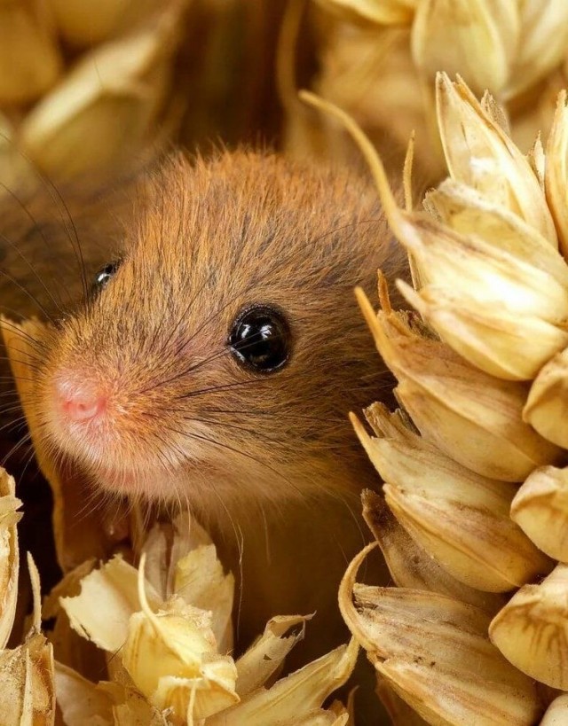 Прикольные и просто красивые картинки 22.10.2024