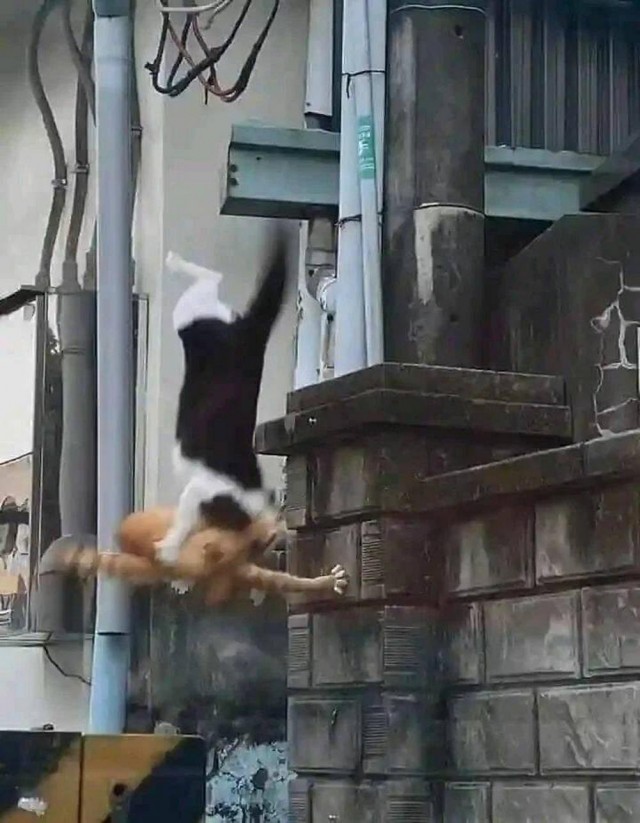 Прикольные и просто красивые картинки 08.11.2024