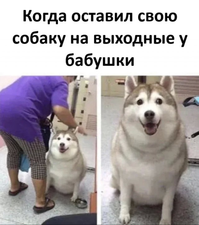 Мемчики из интернетов на середину недели