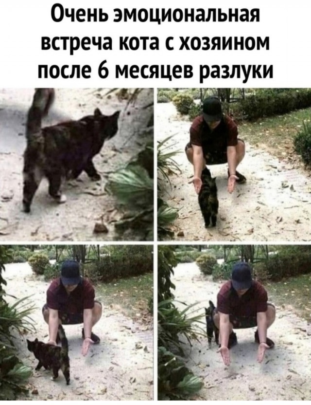 Завалялось тут случайно немного забавных картинок