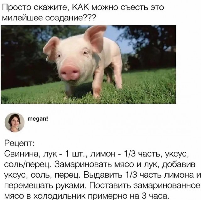 *БАЯН*Прости пятачок