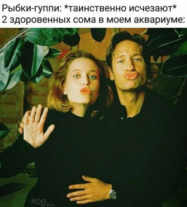 Картиночки, баянчики 10 июня