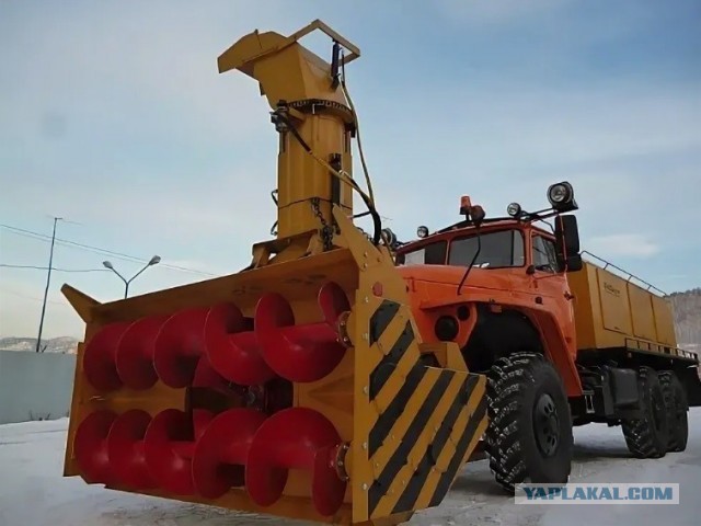 Могут ли посадить в тюрьму если случайно ночью сбил кабана и прокрутил тело через мясорубку, он умер сразу