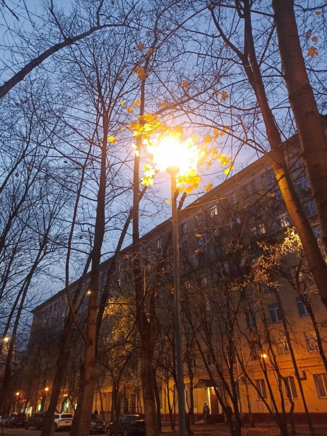 Островок жизни