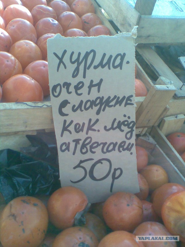 Не оскудеет земля идиотами
