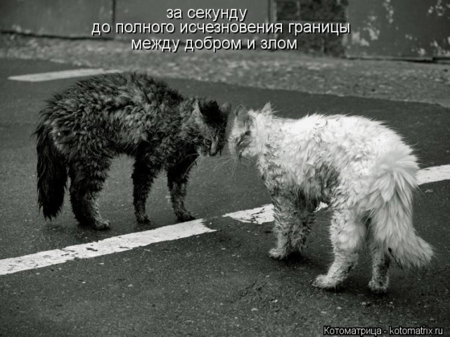 За секунду до..