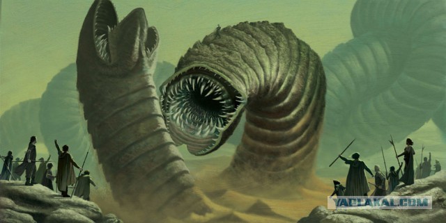 Гигантская змея титанабоа