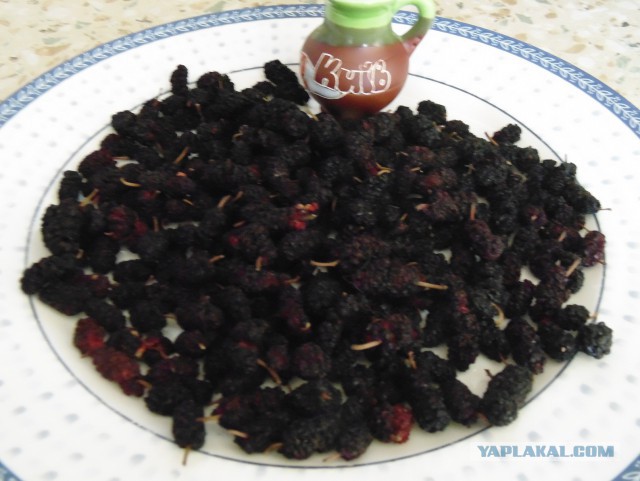 Кулинарная общалка