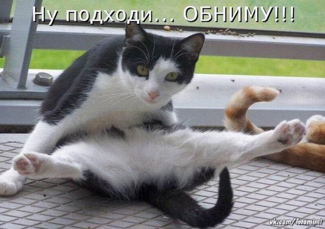 Веселости