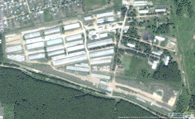 На поле танки ... догнивали