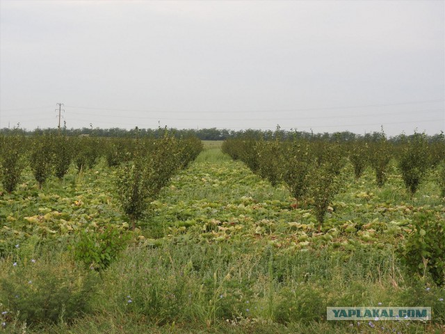 Тарханкут. Крым 2015