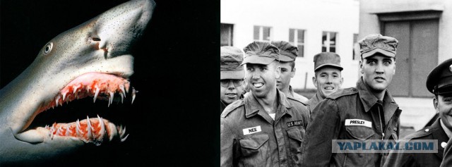 Редкие исторические фотографии из частных коллекци