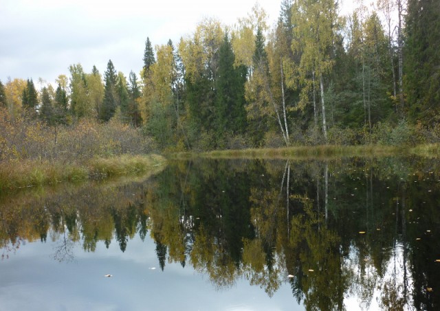 Я узнал, что у меня есть огромная семья
