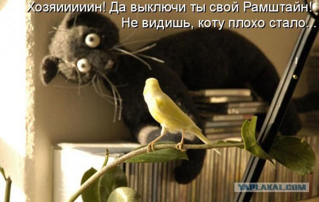 Подборка "баянов" со всего интернета