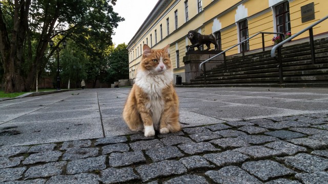 Подборка интересных и веселых фото