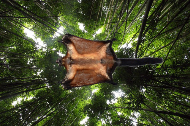 Подборка любопытных фотографий со всего света