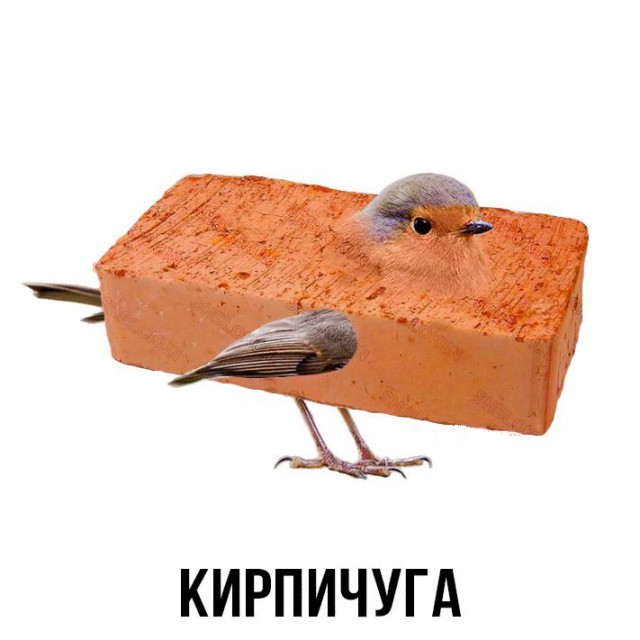 День открытых дверей в палате №6