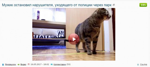 Мужик остановил нарушителя, уходящего от полиции через парк