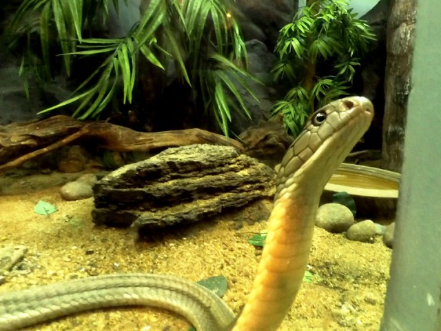 Полтора месяца безделья или "Первое семейное бюджетное путешествие"