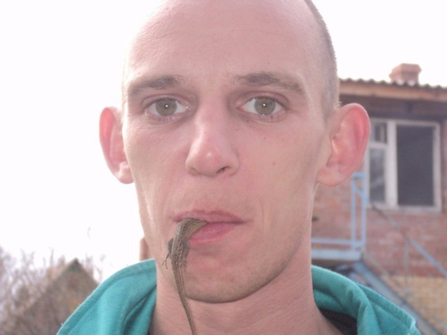 Скотсети и прочие интернеты 29.01.18