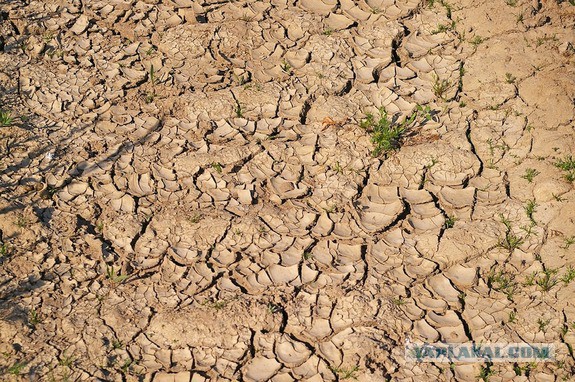 Украина позлорадствовала по поводу «засухи» в Крыму