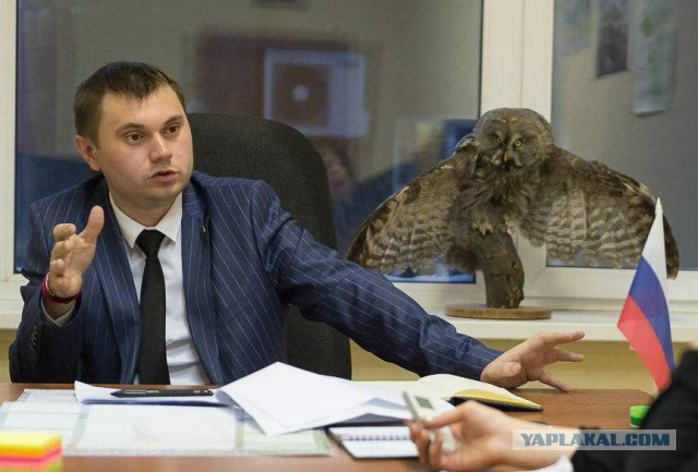 Брянские "Правоохранители" в своем репертуаре...