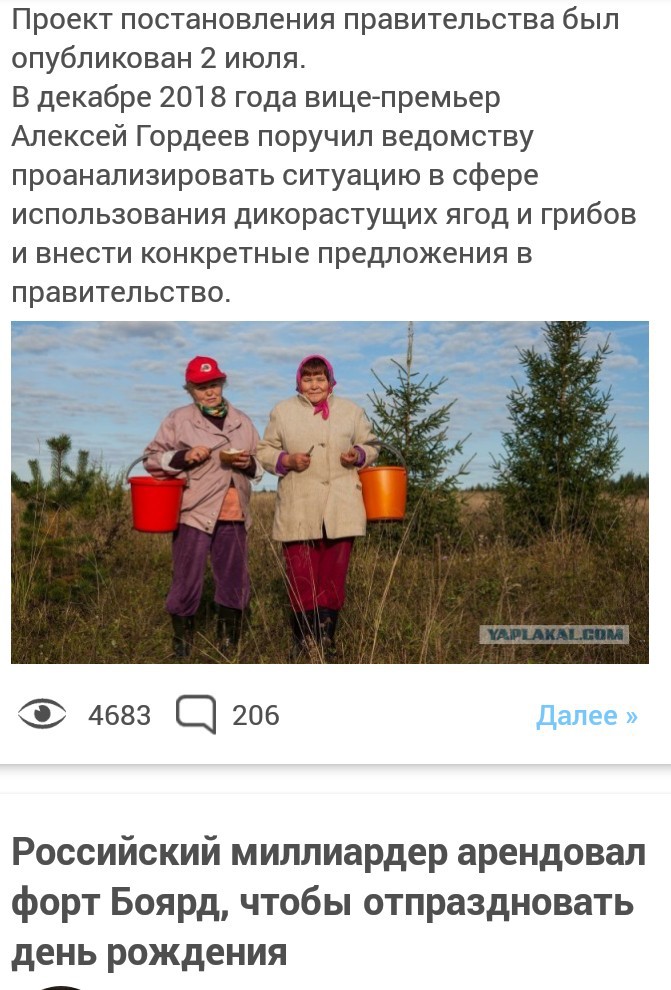 Минсельхоз решил взять под контроль сбор грибов и ягод