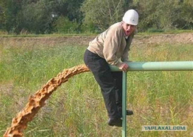 Как очистить воду с помощью ужа