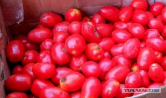 Сколько стоит рыба на рынках Астрахани