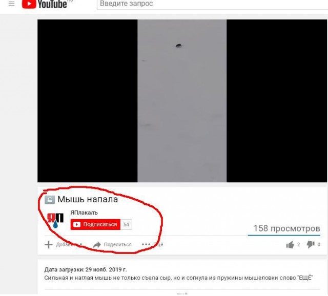 Сильная и наглая мышь не только съела сыр, но и согнула из пружины мышеловки слово "ЕЩЁ"