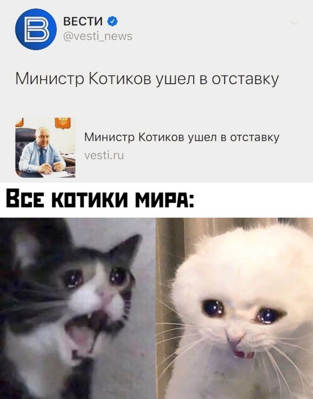 Картинки с надписями, истории и анекдоты 21.12.19
