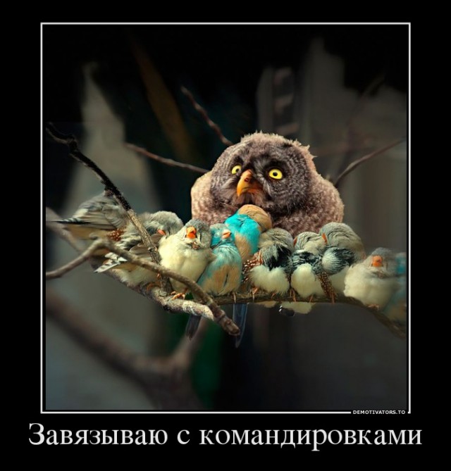 Немного картинок и демотиваторов со старого винта