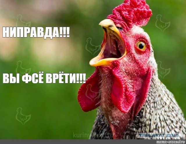 Пробка из скорых