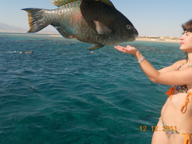 Рыбочка в руках