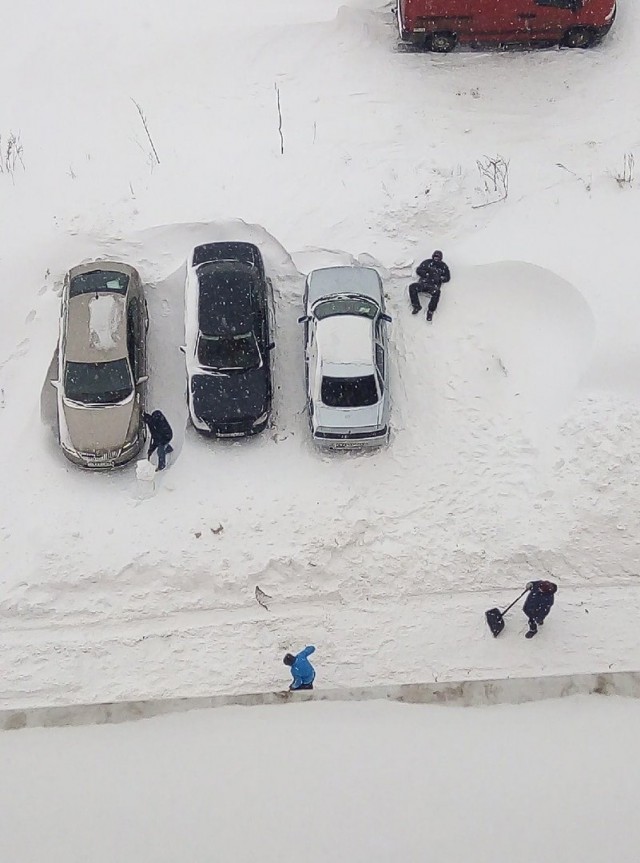 Бредзона 15.02.21