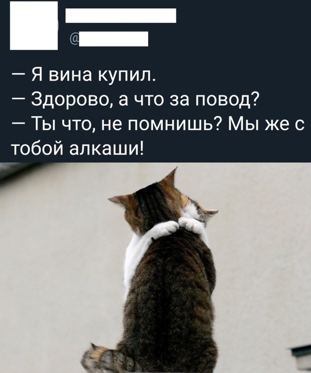 Так себе картинки 06.03.21