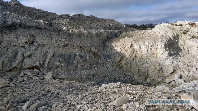 Камчатка, Толбачик